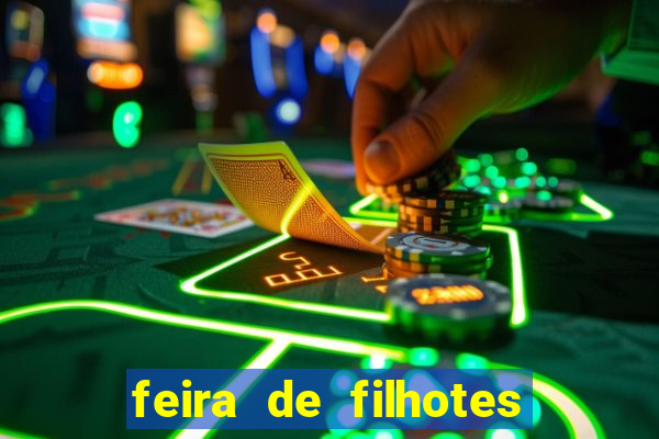 feira de filhotes porto alegre